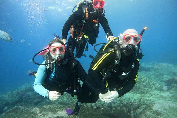 Buceo con tortugas Sitio de buceo en la pared de Palm Mar Tenerife - 5