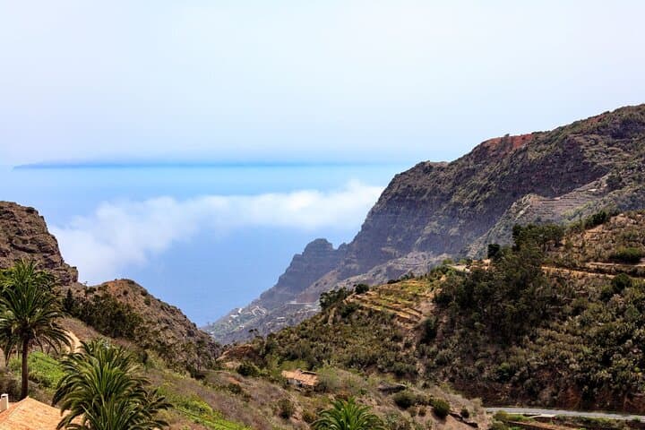 Visita Guiada VIP a La Gomera con Parque de Garajonay y Almuerzo - 8