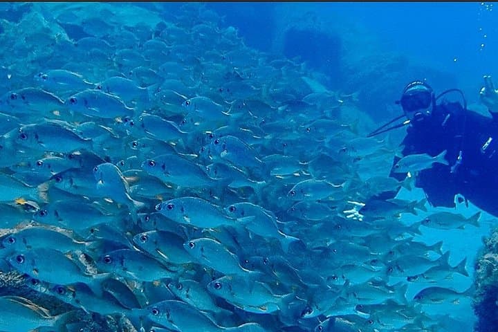 Buceo en Tenerife. Buceadores felices bajo el agua - 7