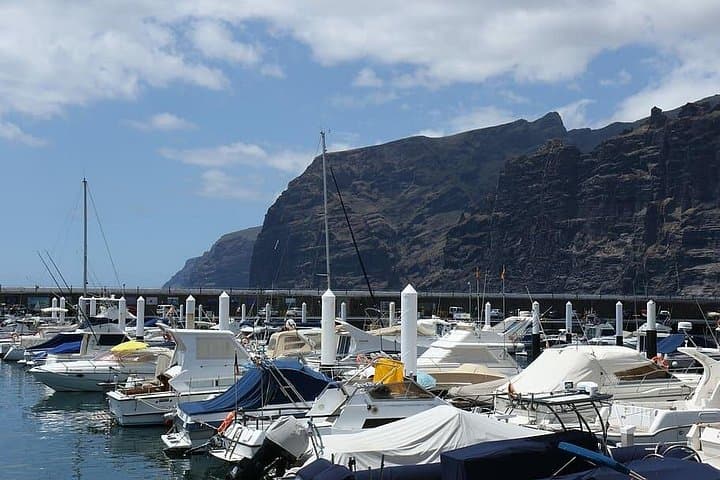 Tour Privado de 6 Horas por Tenerife en Vehículo de Lujo - 7