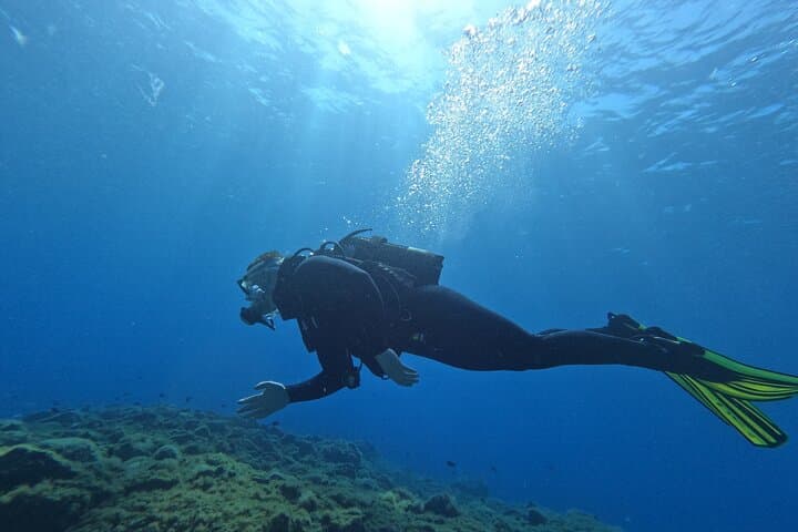Buceo privado en Tenerife: instructor certificado y fotos. - 2