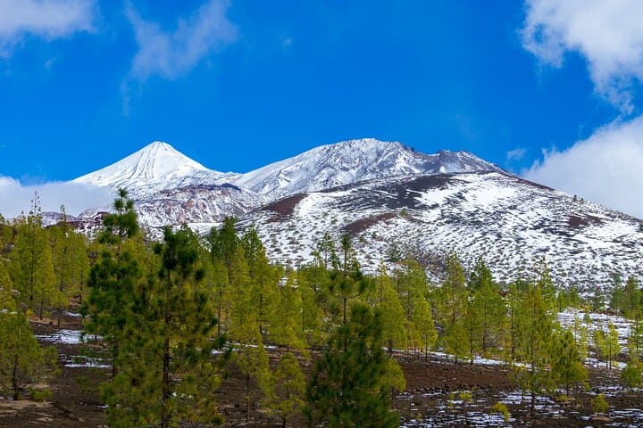 Los famosos Roques de García y el Teide. - 8