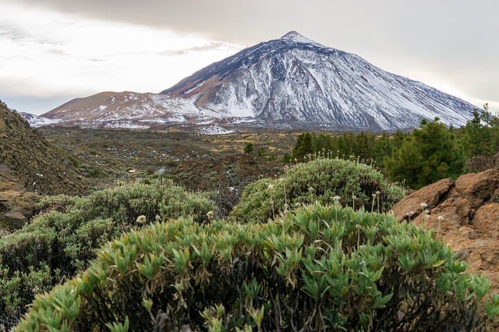 Los famosos Roques de García y el Teide. - 7