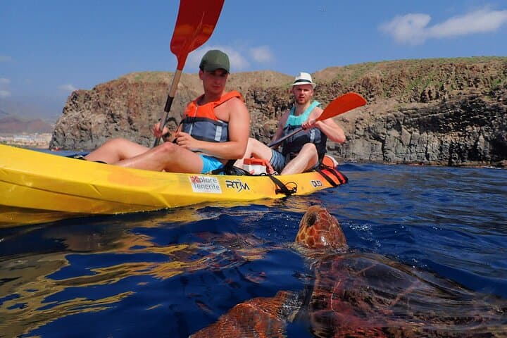 Kayak con delfines en Tenerife - 4