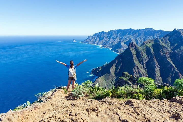 Tour privado de día completo por la costa en Tenerife desde el puerto de Santa Cruz - 1