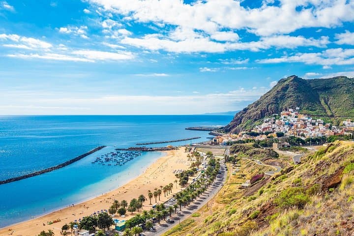 Tour privado de día completo por la costa en Tenerife desde el puerto de Santa Cruz - 5