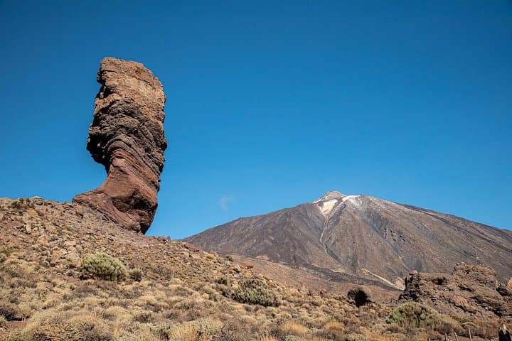 Tour privado de día completo por la costa en Tenerife desde el puerto de Santa Cruz - 7