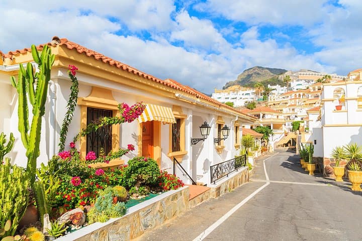 Tour privado de día completo por la costa en Tenerife desde el puerto de Santa Cruz - 6