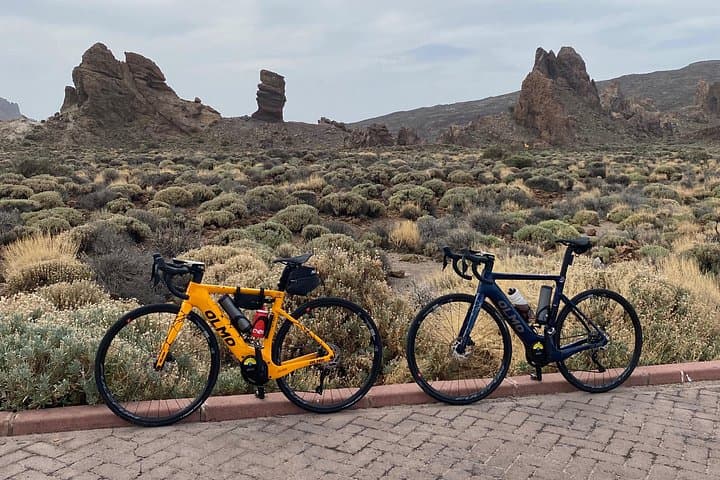 Bicicleta Eléctrica Olmo E-bro 2.0 E-race 500W Alquiler en Tenerife - 4