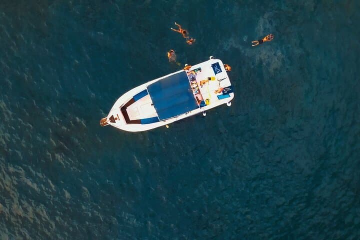 charter privado 3 Horas Encuentro con Ballenas puerto colon adeje - 3