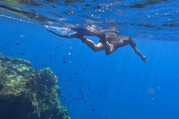 Snorkel con un instructor profesional en Tenerife - 8