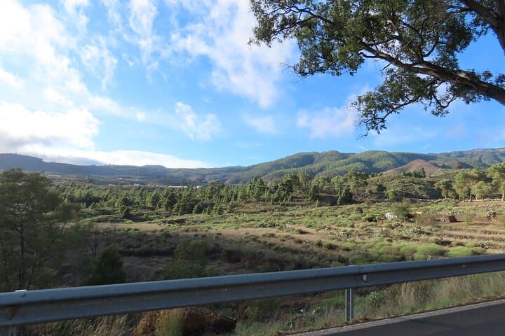 Tour Privado al Atardecer en Tenerife - 6
