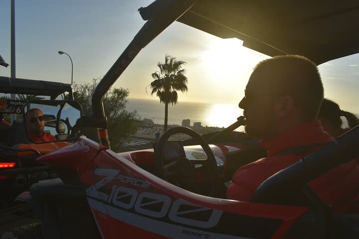 Tour Privado al Atardecer en Tenerife - 4