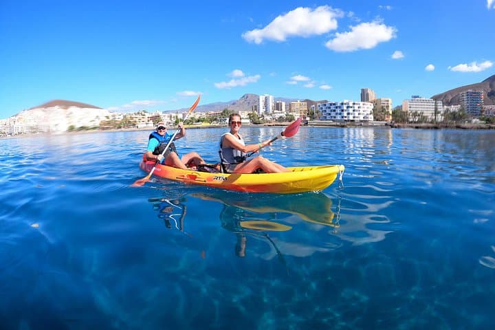 Safari Kayak & Snorkel : Busca Delfines & Tortugas en Tenerife - 7