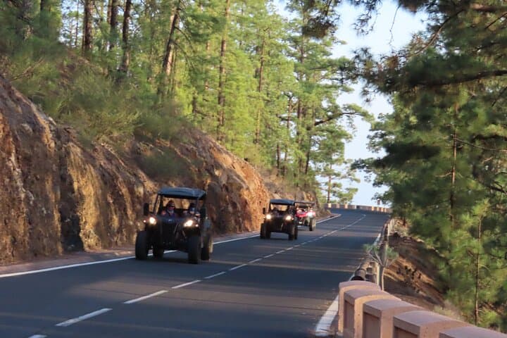 Tour Privado al Atardecer en Tenerife - 5