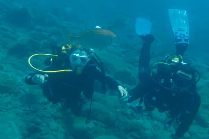 Tour Compartido de 3 Horas en Barco Accesible en Islas Canarias - 8