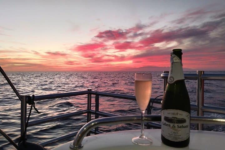 Tour en catamarán al atardecer por Tenerife - Comida y bebidas incluidas - 7