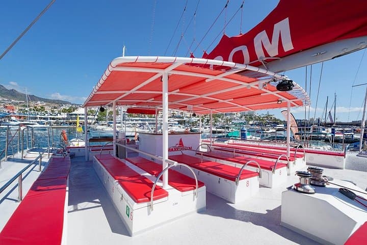Interior catamarán - 2