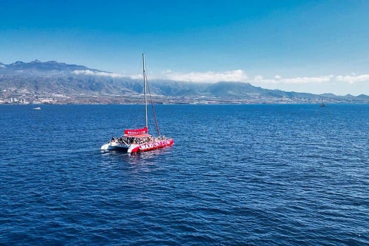 Interior catamarán - 3