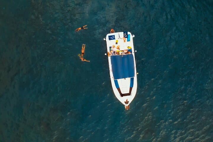 Excursión de 3 horas a Puerto Colón Adeje para ver ballenas - 3