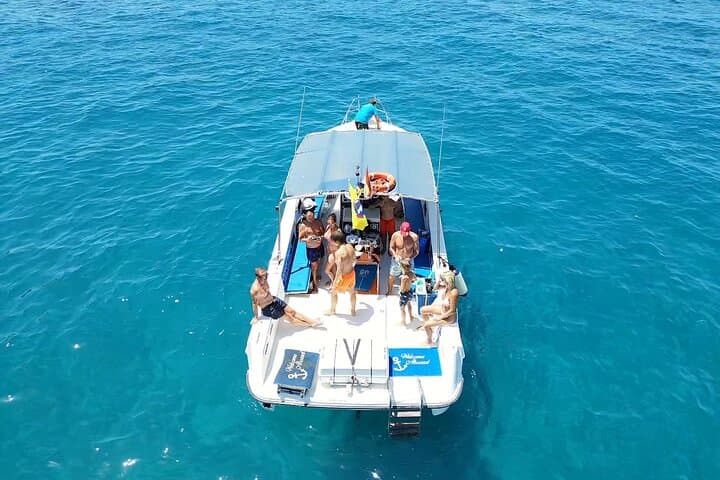 Viaje de 2 horas para ver ballenas delfines puerto colon adeje - 2