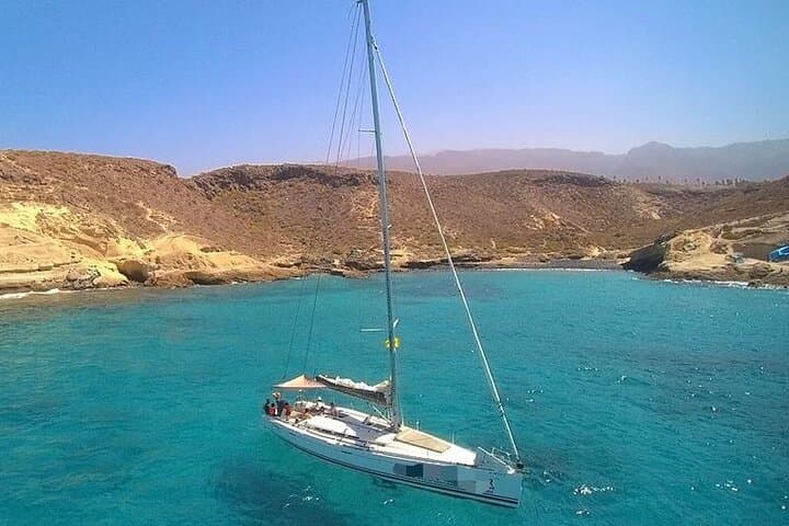 Ballenas y delfines - 2