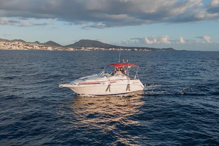 Alquiler de barcos de lujo privados VIP de 3 horas en Tenerife - 8