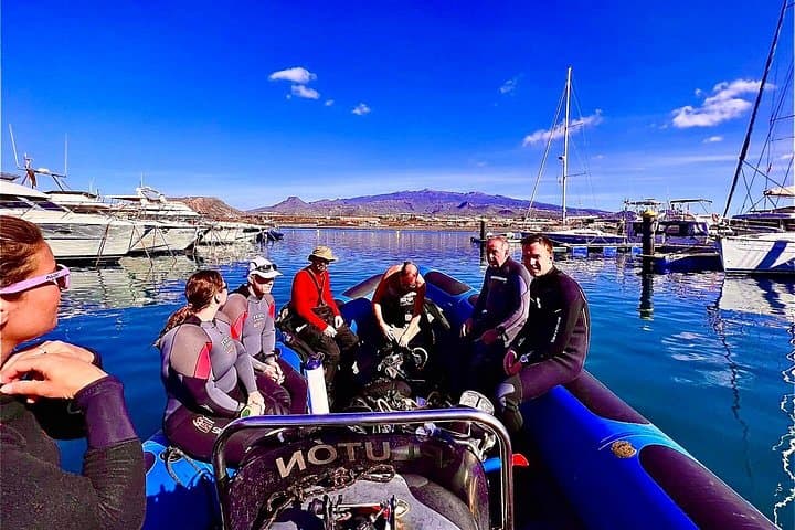 Rayas picantes y un montón de peces con Paradise Divers - 6