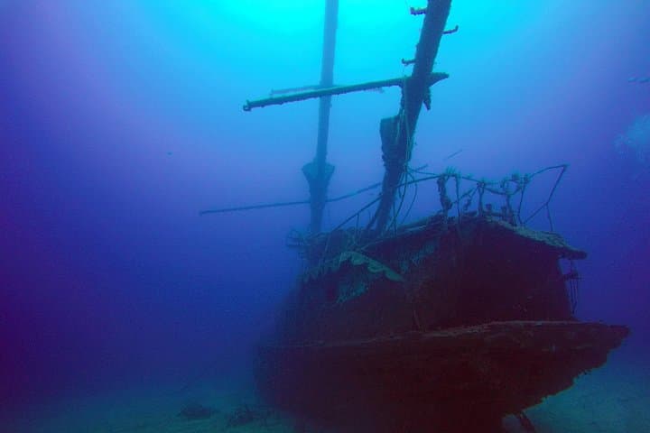 Rayas picantes y un montón de peces con Paradise Divers - 8