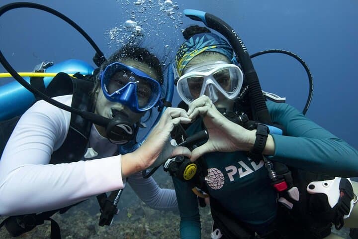 Aprende Buceo en Tenerife con Fotos Incluidas - 7