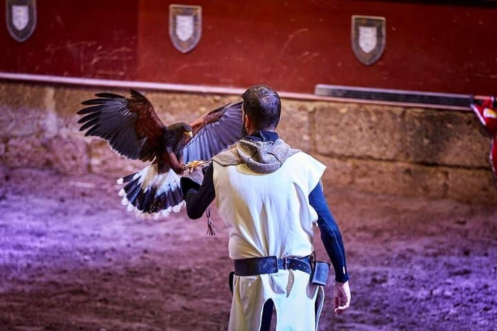 Castillo Medieval con cena desde Puerto de la Cruz en TenerifeSur - 6