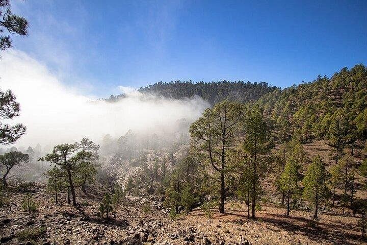 Tour de día completo en grupos pequeños a Masca y Teide desde el norte de Tenerife - 7