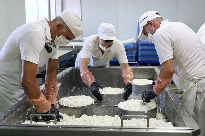 Visita Guiada Fábrica de Quesos Montesdeoca - Cata de Quesos y Vinos - 2