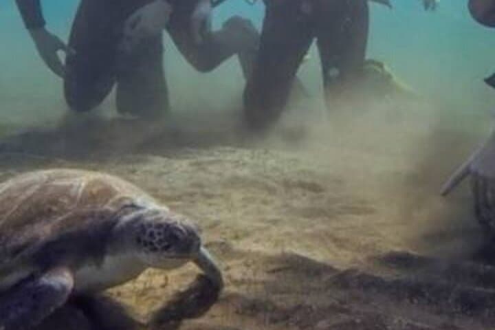 Buceo con instructor experto - 3