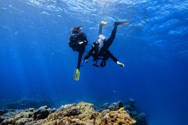 Tenerife: Experiencia de Buceo en Grupo Reducido en Los Cristianos - 2