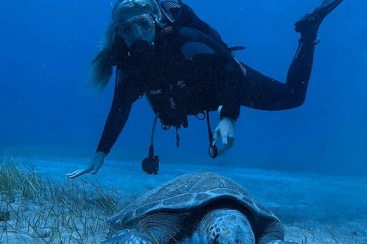 Tenerife: Experiencia de Buceo en Grupo Reducido en Los Cristianos - 3
