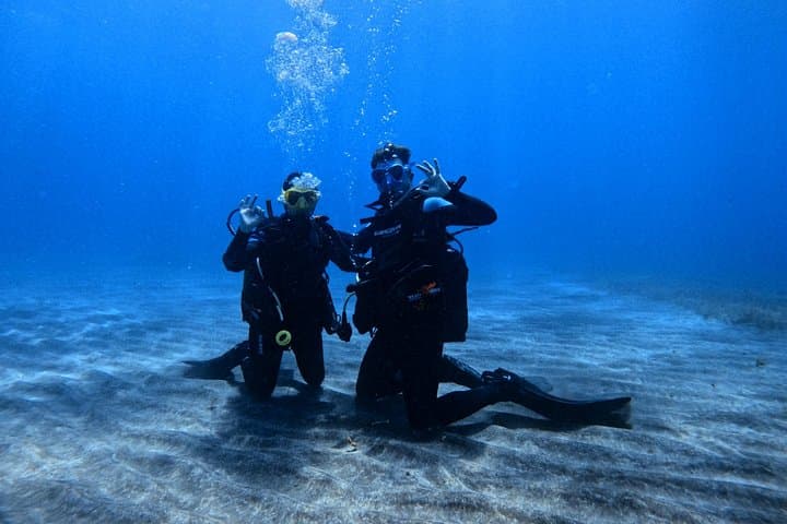 Tenerife: Experiencia de Buceo en Grupo Reducido en Los Cristianos - 5