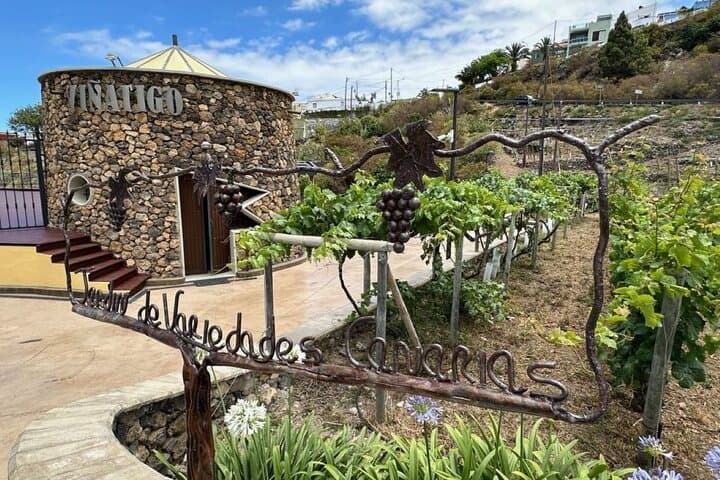Visita Guiada con Cata de 6 Vinos - 2
