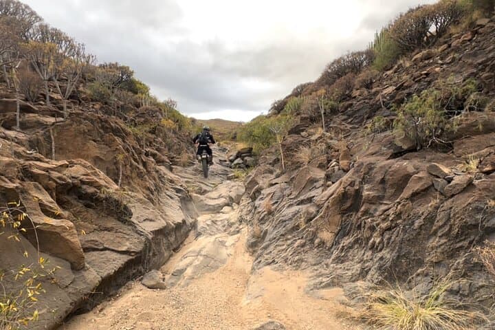 Excursión privada en moto por Tenerife - 3