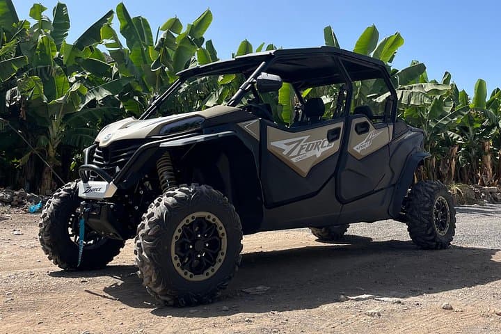 Tour en buggy gigante por el Teide, Tenerife (4 plazas) - 2