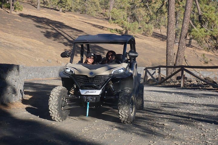 Tour en buggy gigante por el Teide, Tenerife (4 plazas) - 3