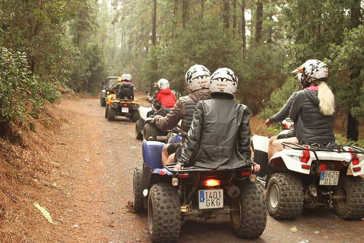 Ruta en quad por el bosque en el sur de Tenerife - 2