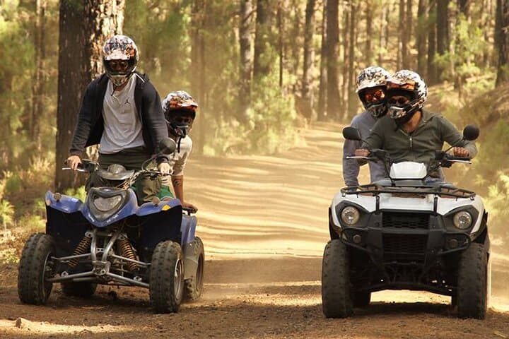Ruta en quad por el bosque en el sur de Tenerife - 3