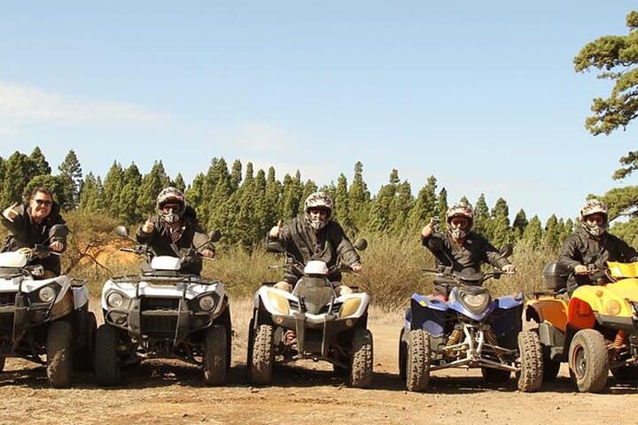 Ruta en quad por el bosque en el sur de Tenerife - 4