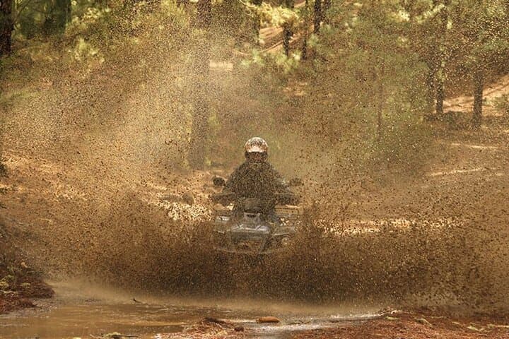 Ruta en quad por el bosque en el sur de Tenerife - 6