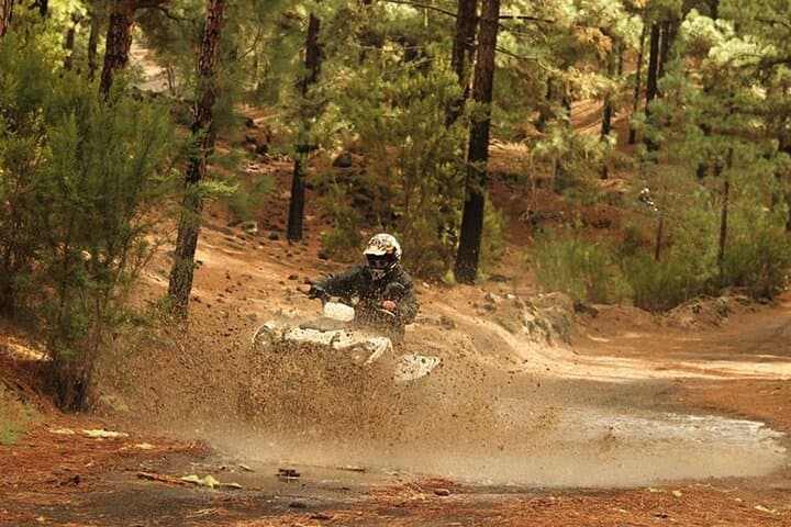 Ruta en quad por el bosque en el sur de Tenerife - 7