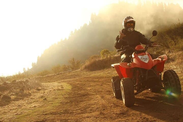 Ruta en quad por el bosque en el sur de Tenerife - 8
