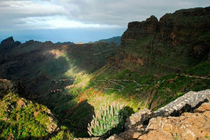 Visita guiada en bugy por el valle de Masca. Grupo pequeño. - 8