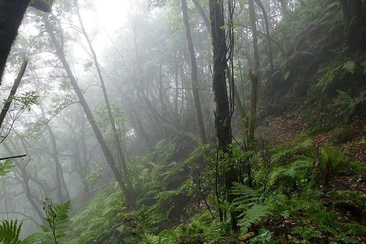 https://media-cdn.tripadvisor.com/media/attractions-splice-spp-720x480/15/68/81/37.jpg - 6