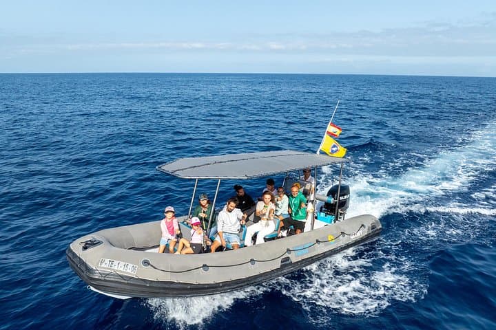 Las familias de ballenas piloto son residentes todo el año del sur de Tenerife. - 2